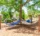 hammock grove