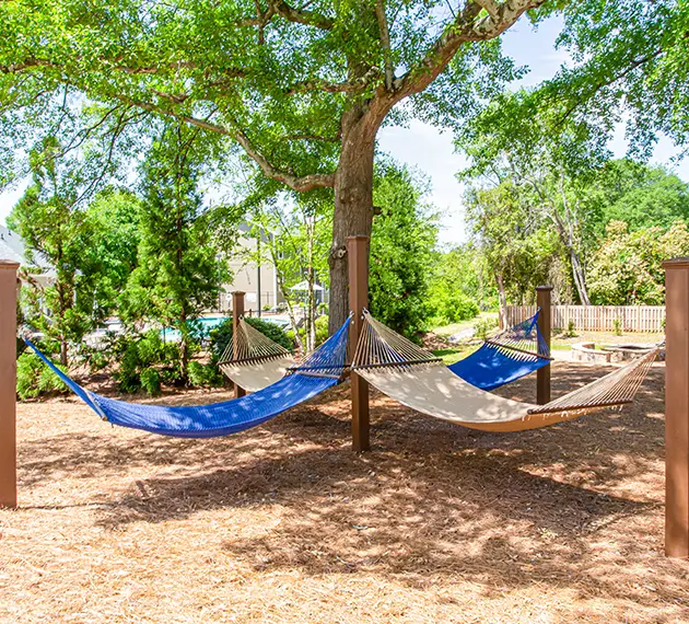 hammock grove