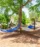 hammock grove