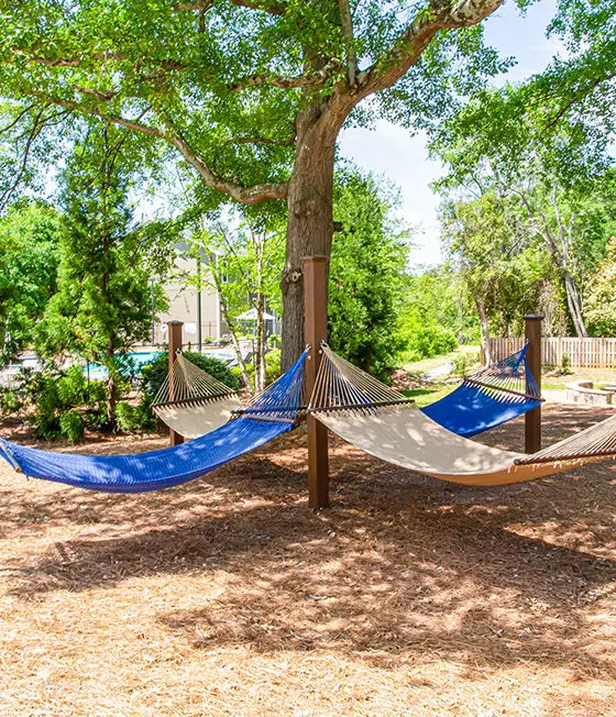 hammock grove
