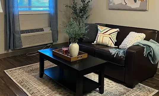 furnished apartment living room