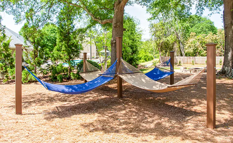 hammock grove