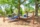 hammock grove