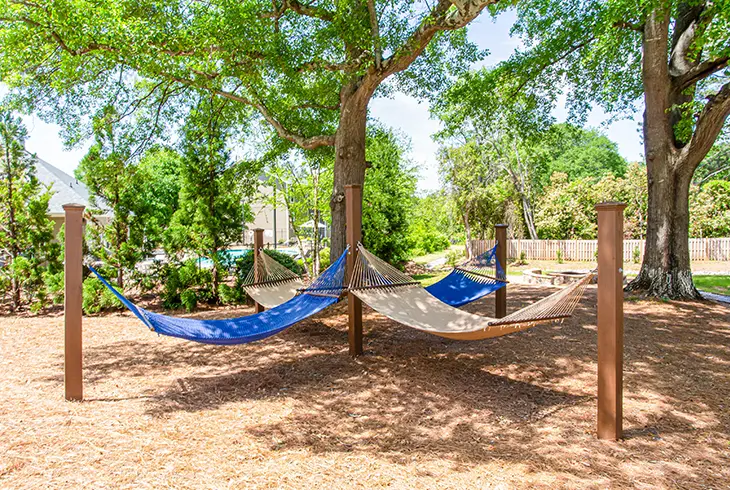 hammock grove