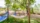 outdoor hammocks