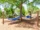 hammock grove