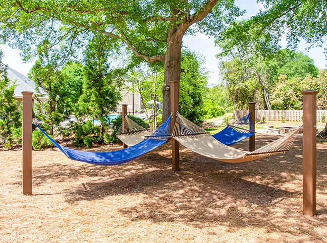 hammock grove